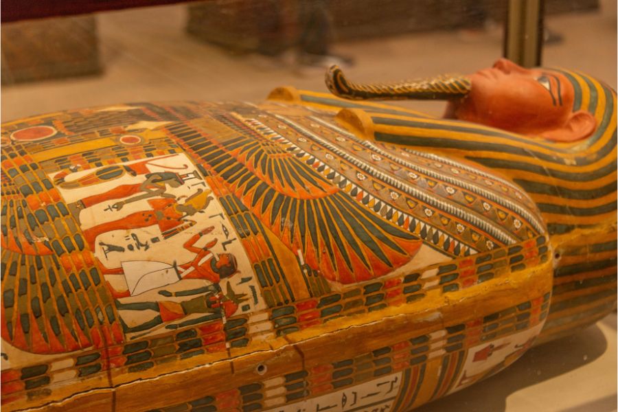 Unravelling the Mystery: Is Pharaoh DNA for Real?